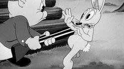 Porky's Hare Hunt Porky's Hare Hunt