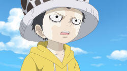A Rocky Road! – Law and Corazon's Journey of Life! A Rocky Road! – Law and Corazon's Journey of Life!