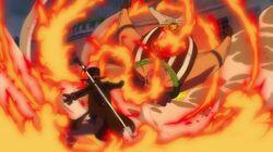 Flame Dragon King! Protect Luffy's Life! Flame Dragon King! Protect Luffy's Life!