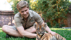 Tiger Triplets Tiger Triplets