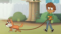Dog Unleashed Dog Unleashed