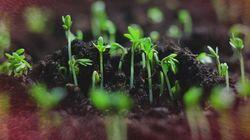 Beyond the Elements: Life Beyond the Elements: Life