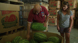 My Watermelon Baby My Watermelon Baby