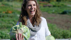 Cabbage's Last Stand Cabbage's Last Stand
