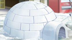 Love is Like the Snow Love is Like the Snow
