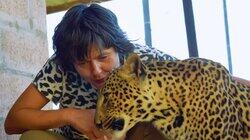 Into the Leopard Lair Into the Leopard Lair