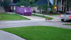 Meet the Neighbors! Meet the Neighbors!