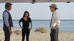 The Desert Rose The Desert Rose