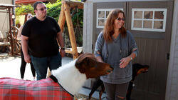 Backyard Barnyard Backyard Barnyard