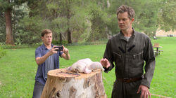 The Chicken and the Pear The Chicken and the Pear