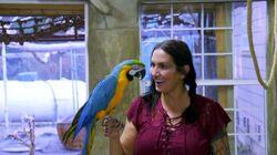 Superfly Parrot Palace Superfly Parrot Palace