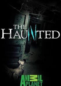 The Haunted The Haunted