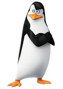 Kowalski Kowalski