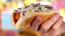 Hot Dog Time Machine Hot Dog Time Machine