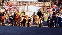 Cowboys and Cakes Cowboys and Cakes