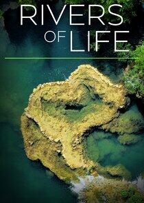 Rivers of Life Rivers of Life