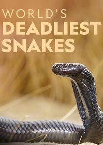 World's Deadliest Snakes World's Deadliest Snakes