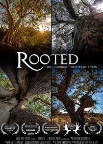 Rooted Rooted