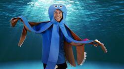 Under the Sea Under the Sea