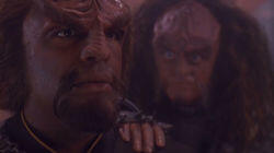 The Way of the Warrior, Part II The Way of the Warrior, Part II