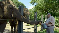 An Elephant's Trust An Elephant's Trust