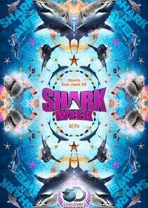 Shark Week - Season 20 / Year 2016 Shark Week - Season 20 / Year 2016