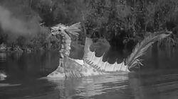 The Creature from McHale's Lagoon The Creature from McHale's Lagoon