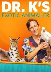Dr. K's Exotic Animal ER: Gloves Off! Dr. K's Exotic Animal ER: Gloves Off!