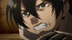 Trigger Trigger