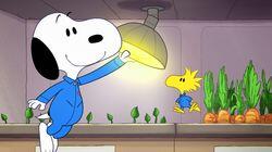 Mission 5: I Never Promised You a Space Garden Mission 5: I Never Promised You a Space Garden