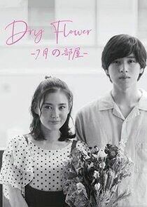 Dried Flower: Our Room in July Dried Flower: Our Room in July