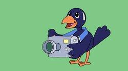 Jac Do, Ffotograffydd O Fri Jac Do, Ffotograffydd O Fri