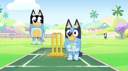 Cricket Cricket