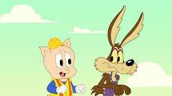 Looney Science Looney Science
