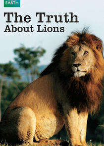 The Truth About Lions The Truth About Lions