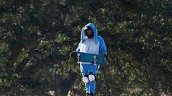 The World's Weirdest Skateboarder The World's Weirdest Skateboarder