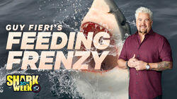 Guy Fieri's Feeding Frenzy Guy Fieri's Feeding Frenzy