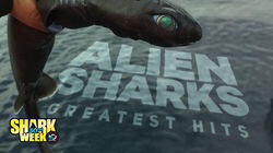 Alien Sharks: Greatest Hits Alien Sharks: Greatest Hits