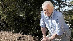 Attenborough and the Empire of the Ants Attenborough and the Empire of the Ants
