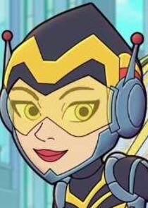 Wasp Wasp