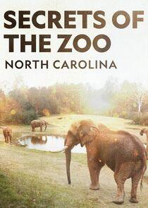 Secrets of the Zoo: North Carolina Secrets of the Zoo: North Carolina