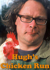 Hugh's Chicken Run Hugh's Chicken Run