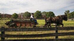 Best of — Regenerative Agriculture Best of — Regenerative Agriculture