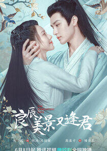The Everlasting Love The Everlasting Love