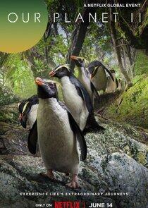 Our Planet II Our Planet II
