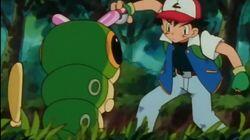 Ash Catches a Pokémon Ash Catches a Pokémon