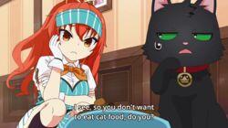 I Magically Became a Cat!?