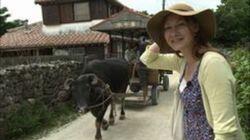 Life in the Slow Lane - Taketomi, Okinawa Life in the Slow Lane - Taketomi, Okinawa