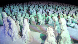 Ice Monsters and Warm Hospitality Zao Ice Monsters and Warm Hospitality Zao
