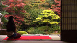 All About Matcha Green Tea: Matsue All About Matcha Green Tea: Matsue